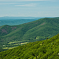 Blue Ridge Vista